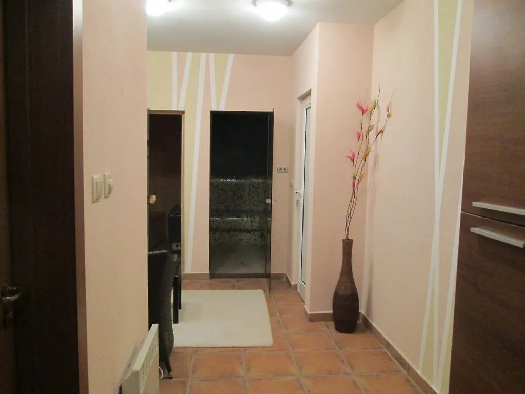 Todorka Views Alexander Services Apartments Bansko